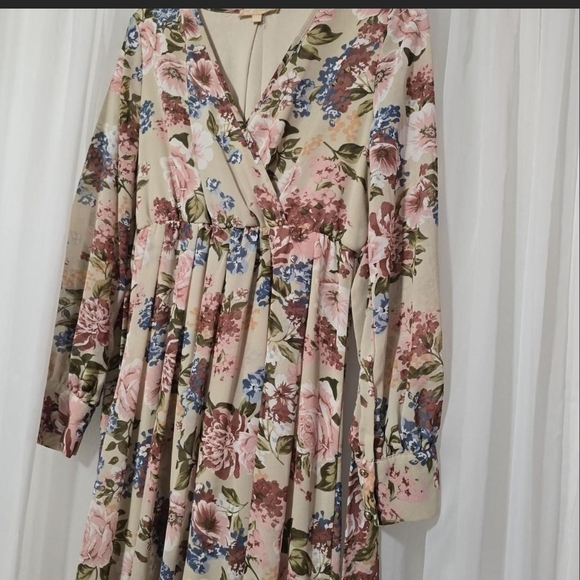 Amazon Floral V-Neck Maxi Dress in Cream and Pink - Picture 3 of 4